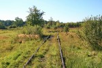 станция Антоновка: Подъездной путь леспромхоза