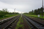 станция Трояновка: Вид в сторону Сарн