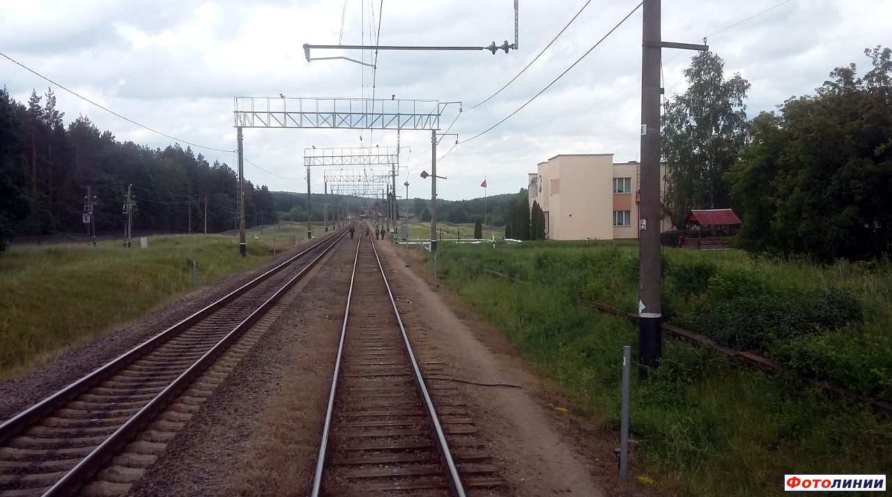 Вид в сторону Брузгов