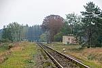о.п. Воля Холоевская: Вид на территорию бывшей станции
