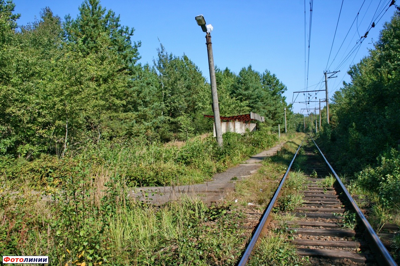 Город яворов фото