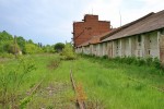 станция Борщев: Заброшенные подъездные пути элеватора
