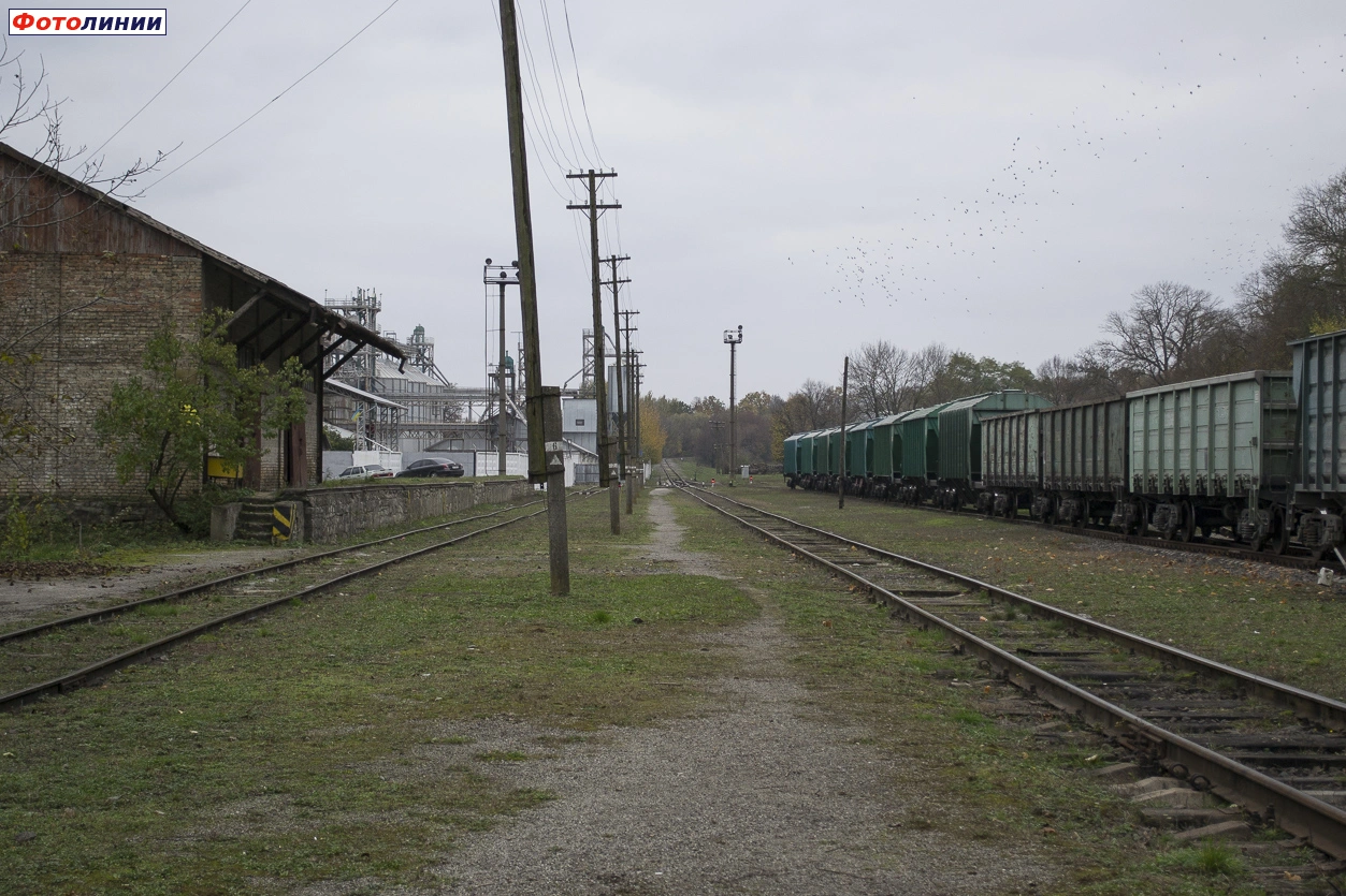 Станция Скала-Подольская. Вид в сторону ст. Тересин — Railwayz.info