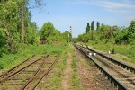 станция Черновцы-Южная: Заброшенные подъездные пути в нечётной горловине