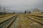 станция Дуброва-Олевская: Вид в сторону Олевска