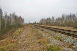 станция Рудня-Радовельская: Вид в сторону Олевска