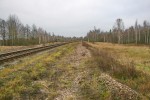 станция Рудня-Радовельская: Вид в сторону Коростеня