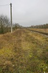 станция Рудня-Радовельская: Вид с платформы в сторону Коростеня