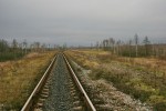 станция Рудня-Радовельская: Бывшая горловина станции со стороны Олевска