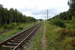 о.п. Чигири: Старая платформа, линия Коростень - Олевск, вид в сторону Коростеня