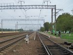 станция Лесная: Платформы и пути. Вид в сторону Баранович