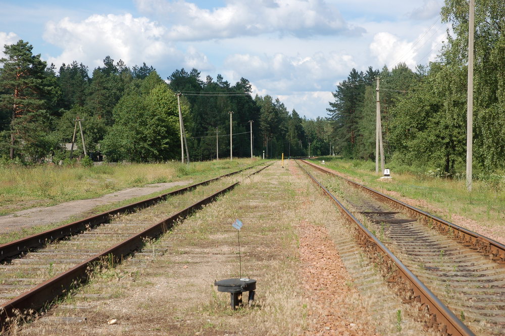 Вид станции в сторону Бобруйска
