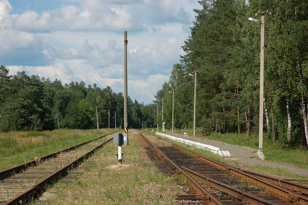 Вид платформы в сторону Бобруйска