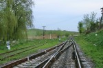 станция Веренчанка: Линии на Окна Буковины и Лужаны