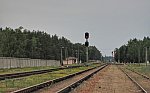 станция Осиповичи II: Вид в сторону Осипович