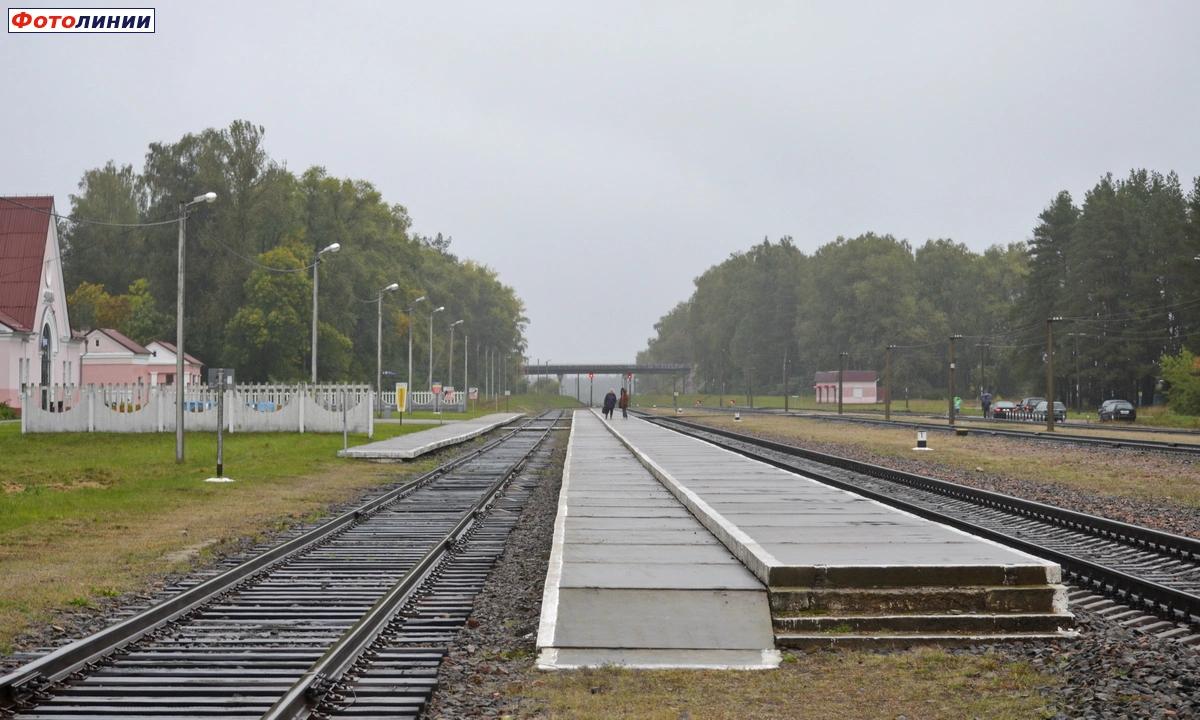 Платформы, вид в сторону Могилёва