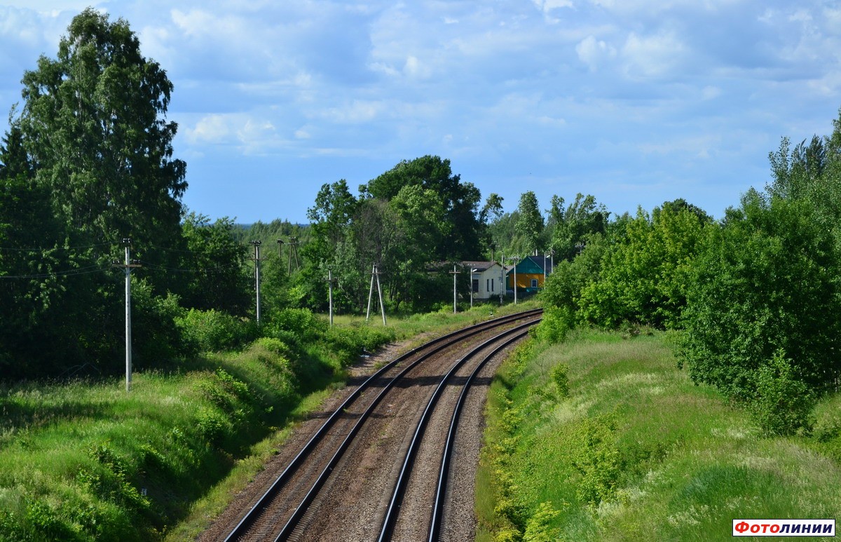 Вид станции в сторону Невеля
