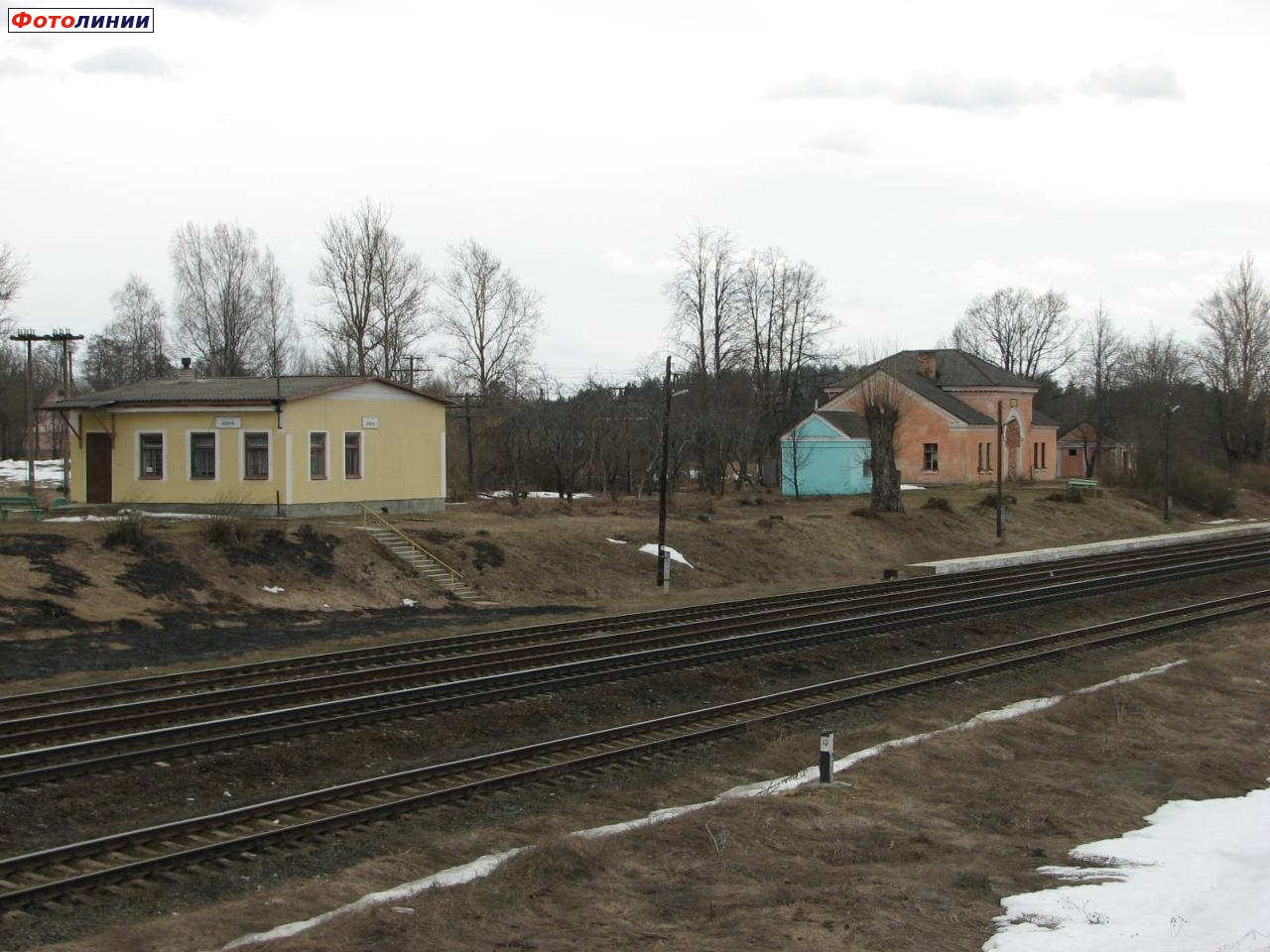 Вид на станцию с западной стороны (направо - Невель)