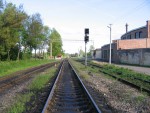 станция Новосокольники: Вид от Ленинградского на Витебский парк