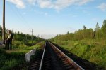 о.п. 270 км: Вид в направлении Новосокольников