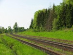 разъезд Киселевичи: Вид станции в сторону Витебска