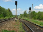 станция Самолуково: Выходные светофоры в нечётной горловине (в сторону Санкт-Петербурга)