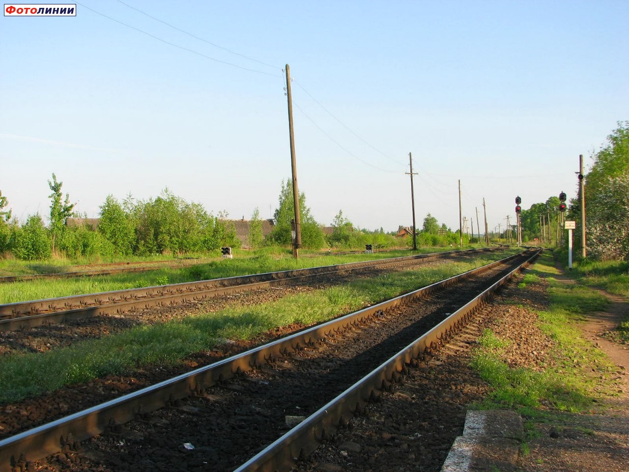 Вид на чётную горловину станции (в сторону Витебска) с конца платформы