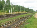 станция Вязье: Вид станции в чётном направлении (на Санкт-Петербург)