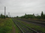 Пути станции (вид в сторону Санкт-Петербурга)