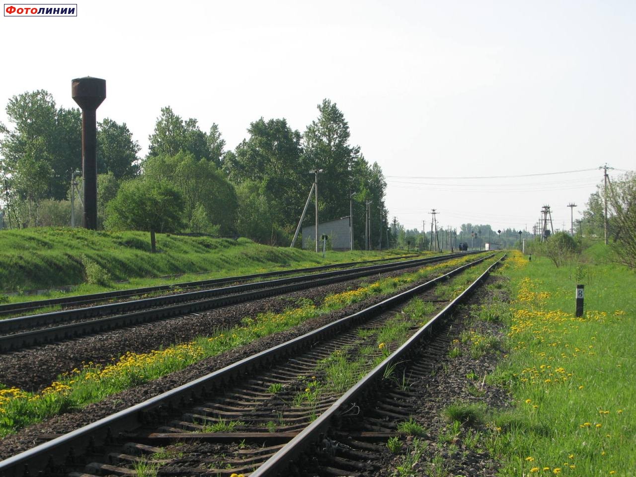 Вид станции в сторону Витебска