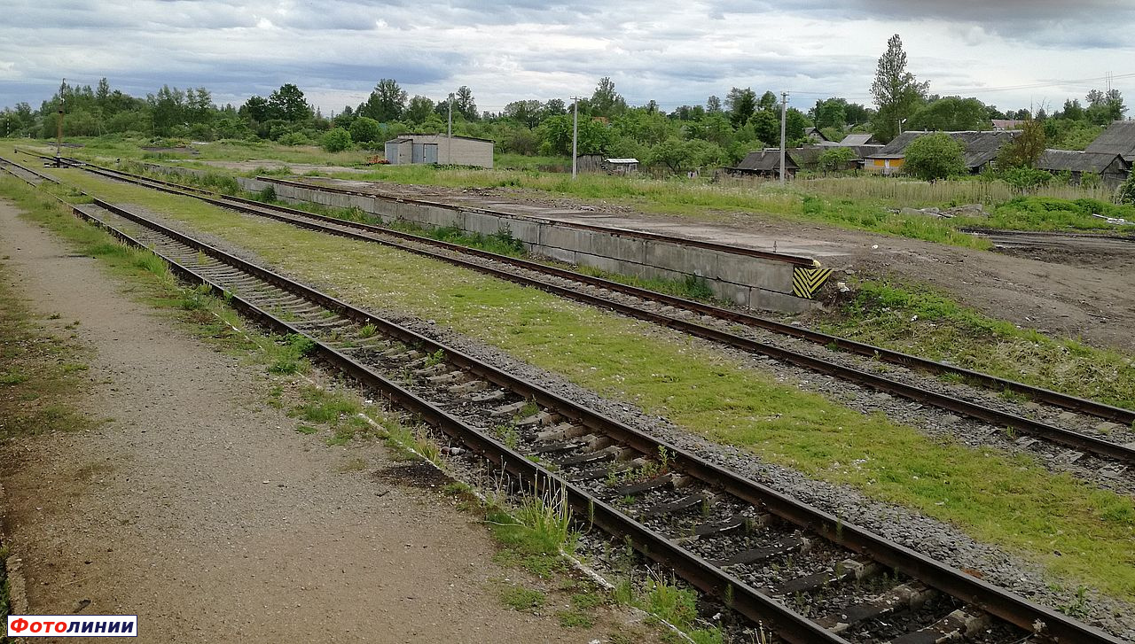 Пассажирская и грузовая платформы, вид в сторону Новосокольников