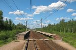 о.п. 80 км: Вид в направлении Санкт-Петербурга