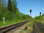 станция Заклинье: Выходные светофоры в нечётной горловине (в сторону Санкт-Петербурга)