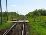 о.п. 143 км: Вид в нечётном направлении (на Витебск)