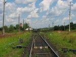 станция Батецкая: Вид на чётную горловину со стороны Витебска