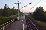 о.п. 90 км: Вид с платформы в сторону Санкт-Петербурга