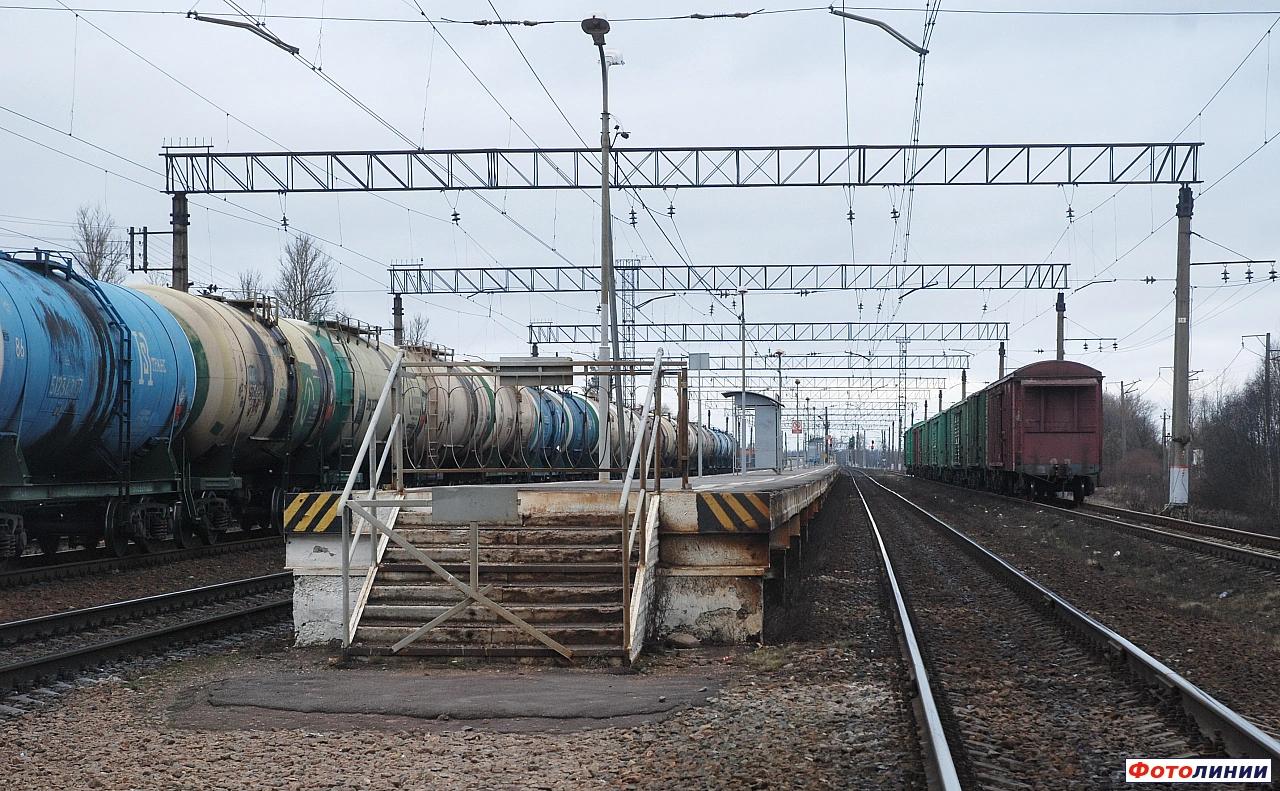Вид платформы в сторону Санкт-Петербурга
