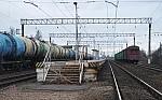 станция Антропшино: Вид платформы в сторону Санкт-Петербурга