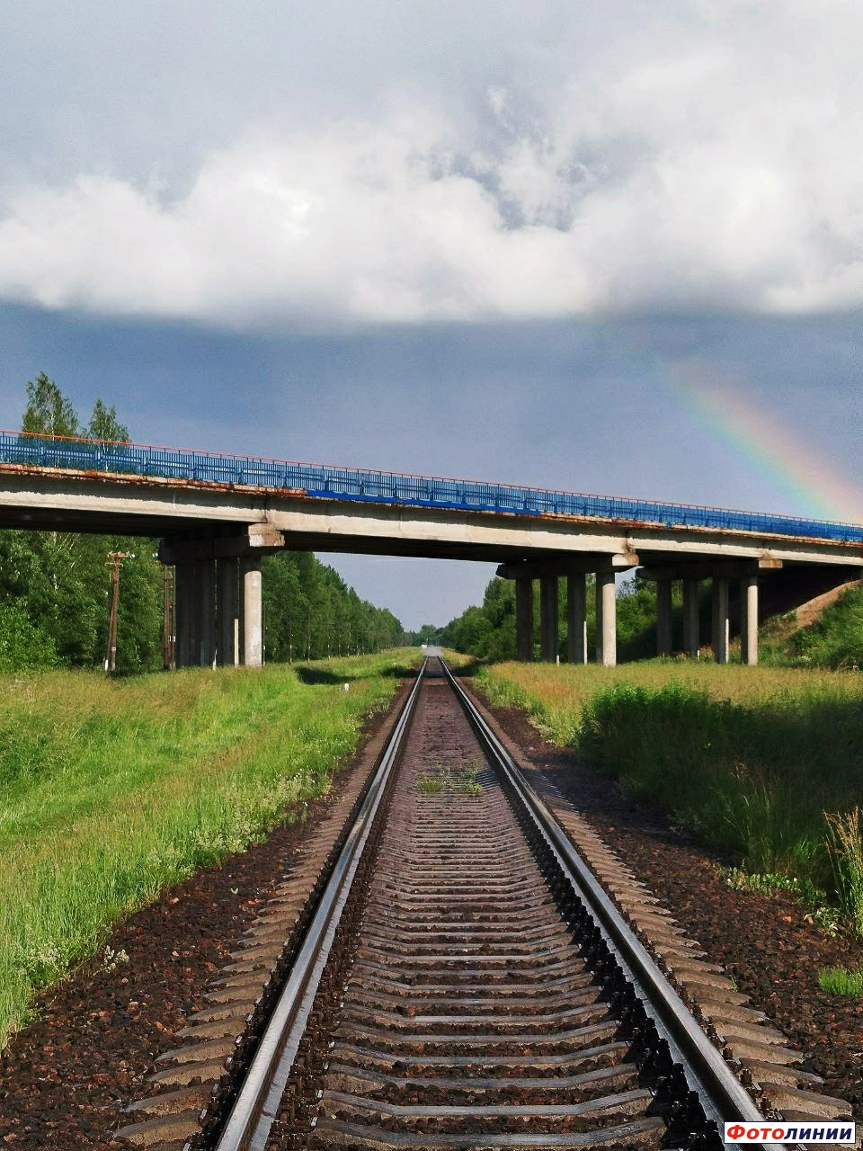Вид в сторону Витебска