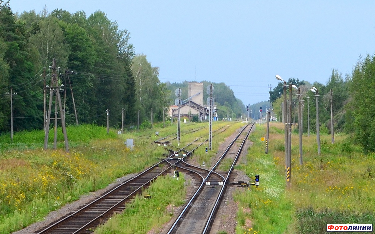 Общий вид станции в сторону Могилёва