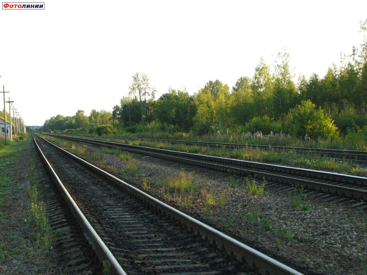 Пути станции (вид в сторону Витебска)