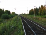 о.п. 238 км (Замошки): Платформа (вид в сторону Санкт-Петербурга)