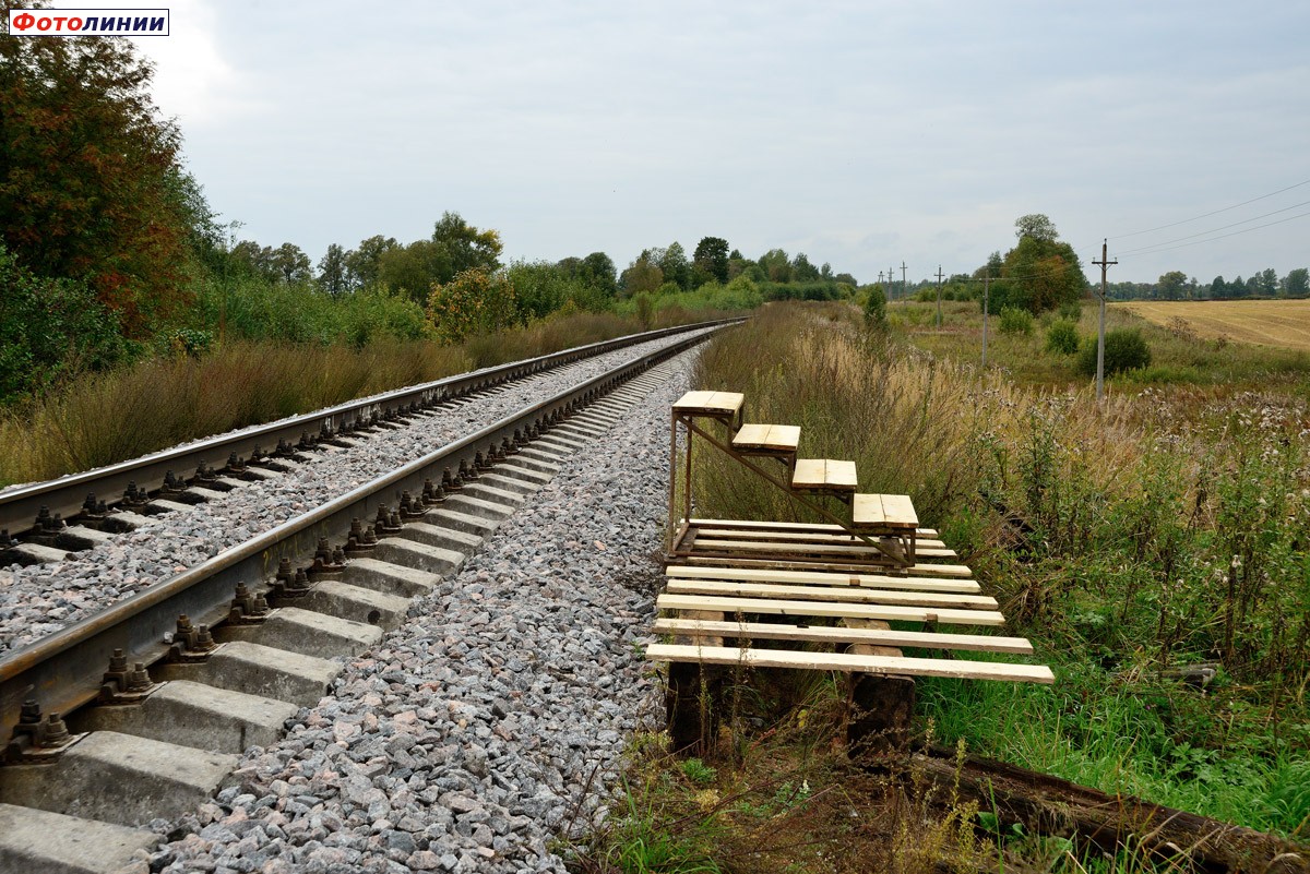 Пассажирская платформа, вид в сторону Луги