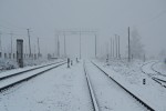 станция Пыталово: Южная горловина туманным утром