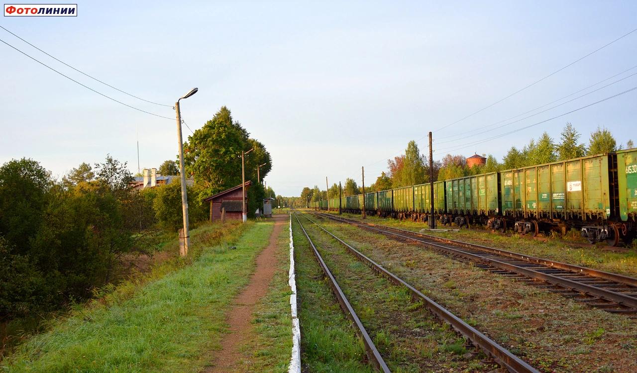 Вид с платформы в сторону Осташкова