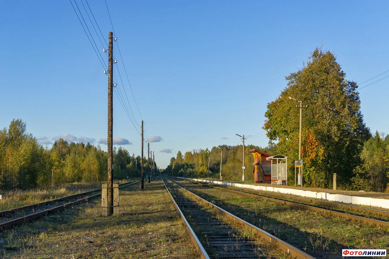 Вид в сторону ст. Куженкино