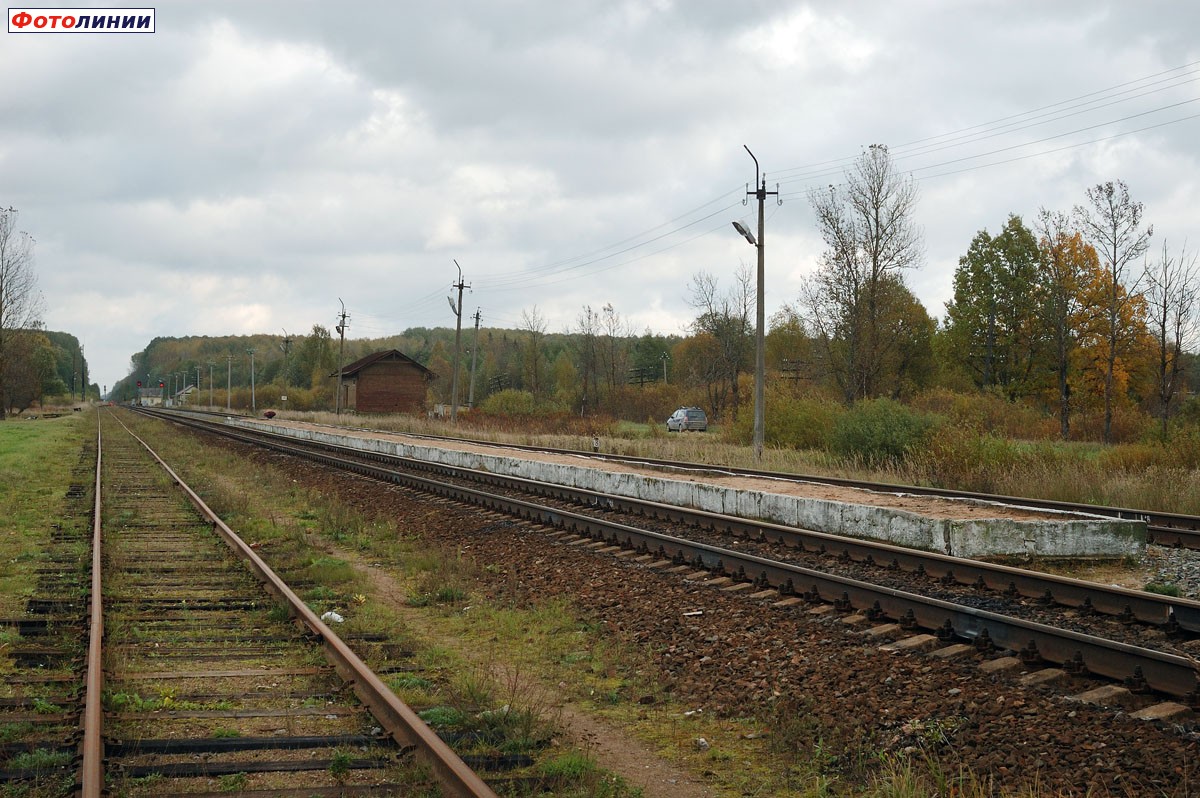 Пассажирская платформа, вид в сторону Новгорода