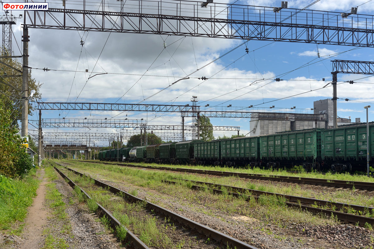 Станционные пути, вид в сторону Новгорода