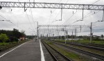 станция Новолисино: Вид с платформы в сторону Тосно/Новгорода