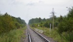 о.п. 123 км: Вид в сторону Новгорода